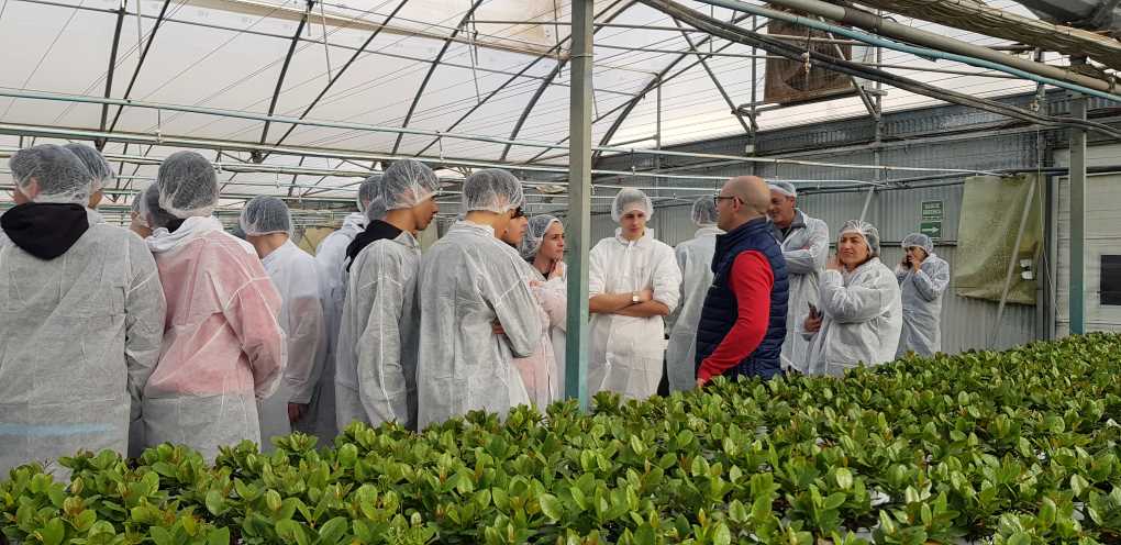 Visita ACRENA (2)