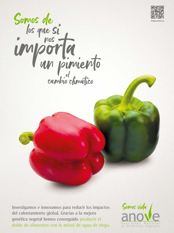 campaña anove
