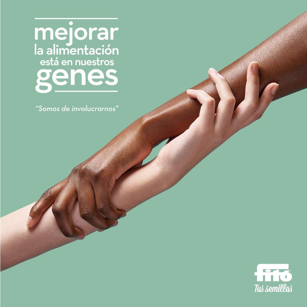 imagen fitó