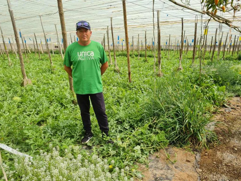 JOSE FRANCISCO MEDIA AGRICULTOR