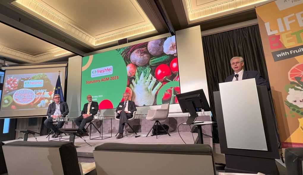 freshfel asamblea