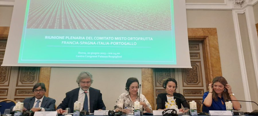 Comite Mixto FyH (003)