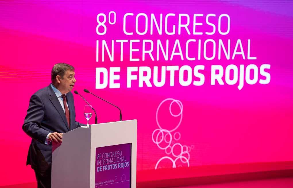 Luis Planas_Frutos rojos (3)