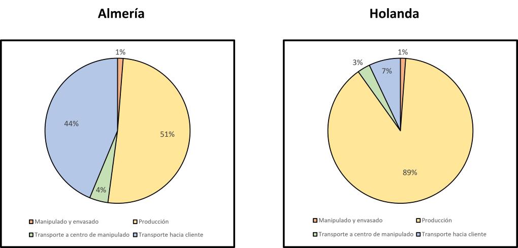 COMPARATIVA tomates