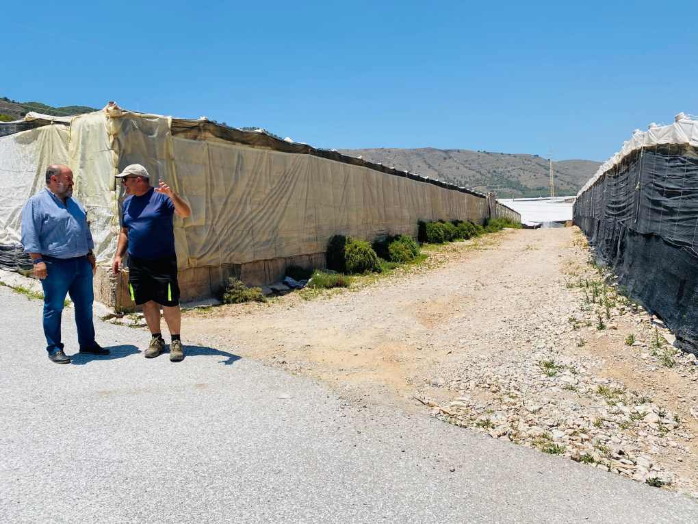 camino Dalías