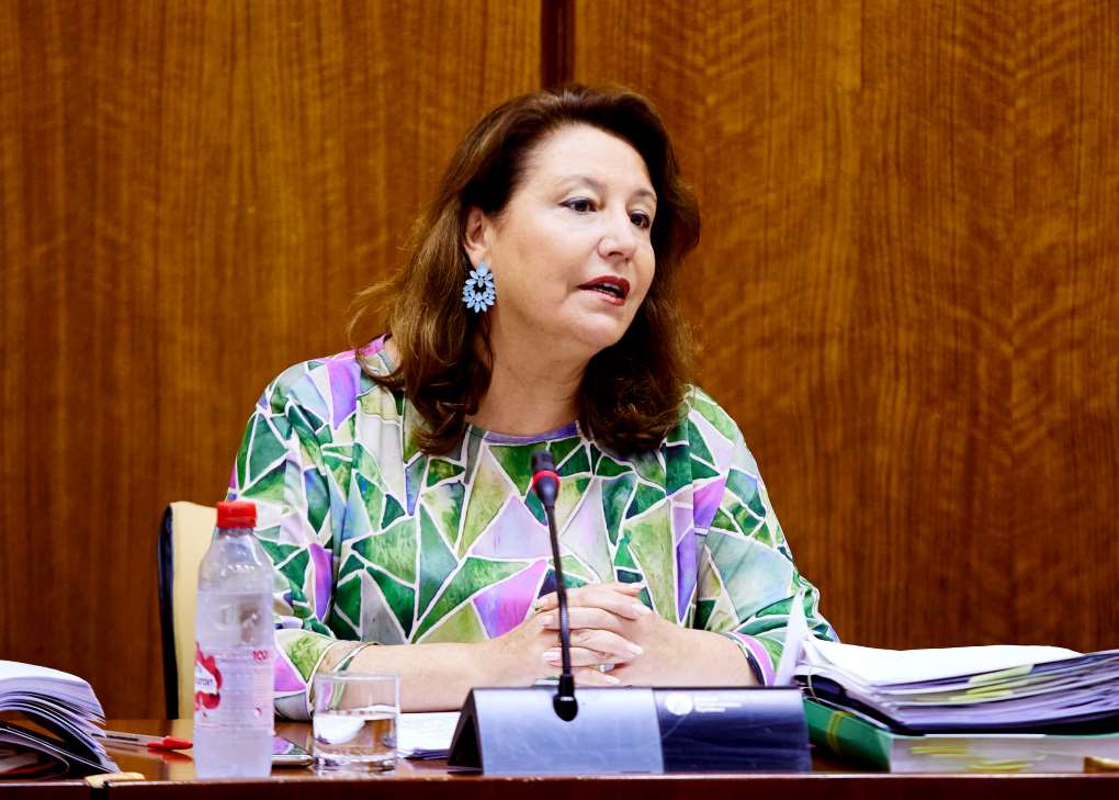 carmen crespo comisión parlamento