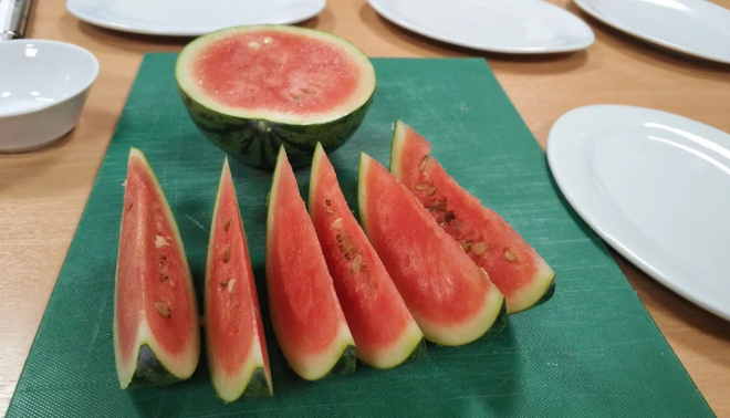 Cultiva-sandias-en-la-antartida_3