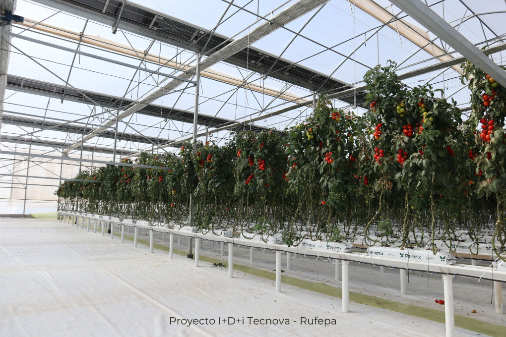Proyecto I+D+i Tecnova - Rufepa (002)