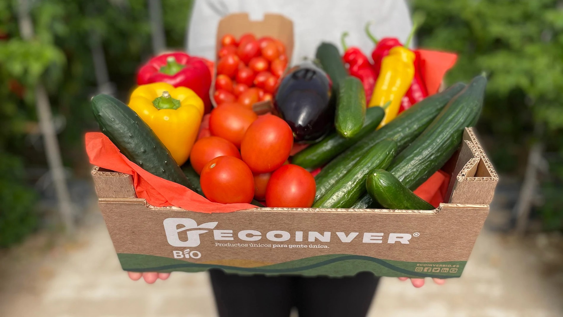 cesta ecoinver