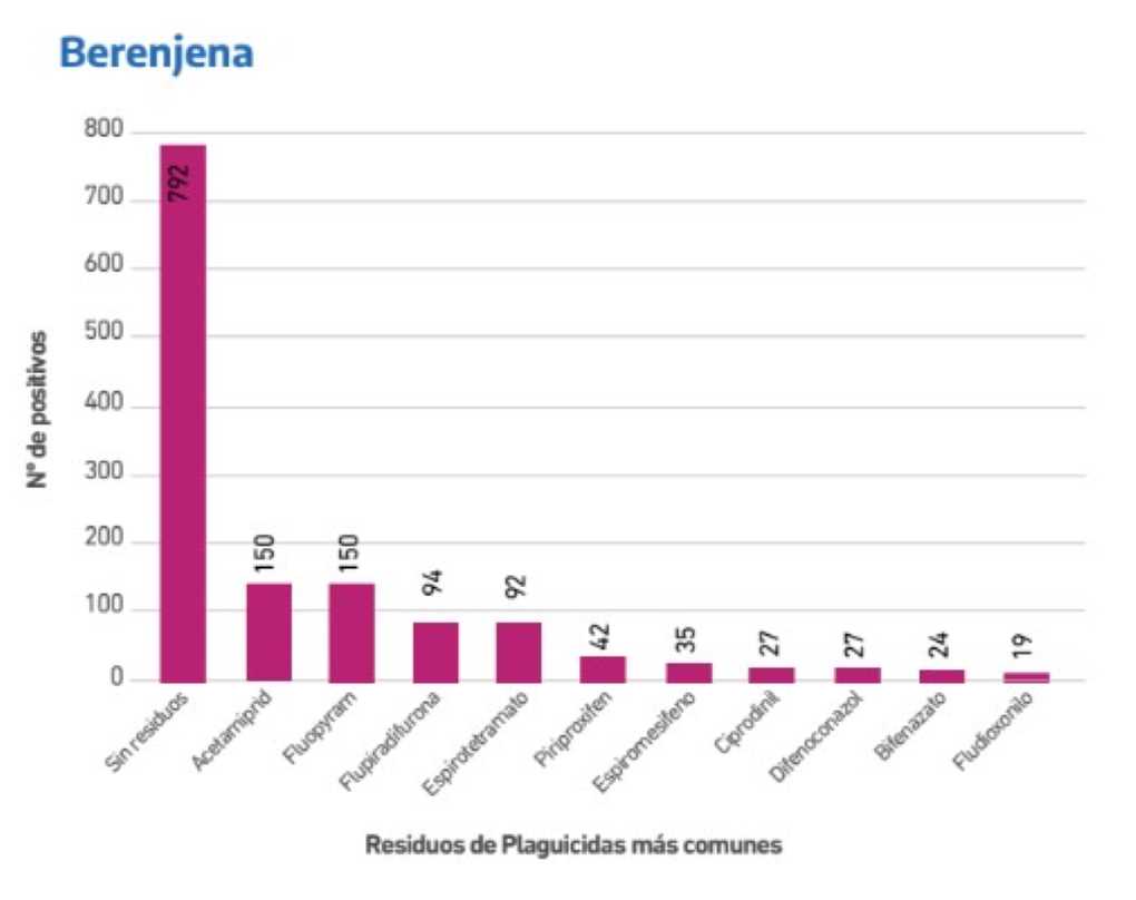Berenjena