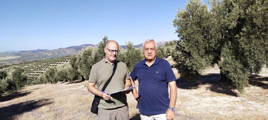CAMPAÑA SAE COOPERATIVAS AGROALIMENTARIAS DE GRANADA (2) (002)