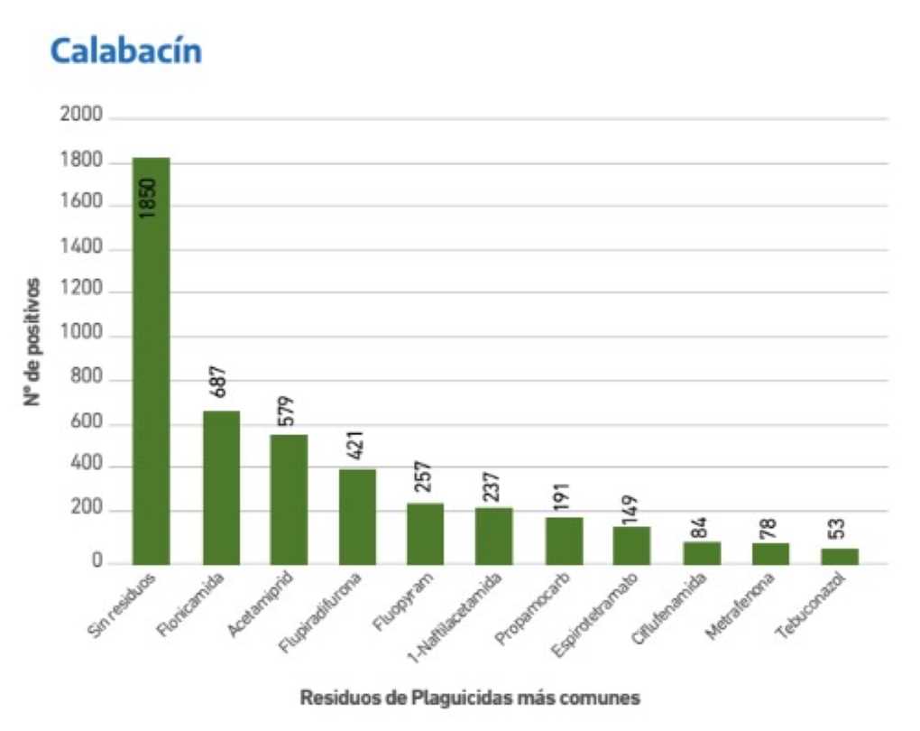 Calabacín