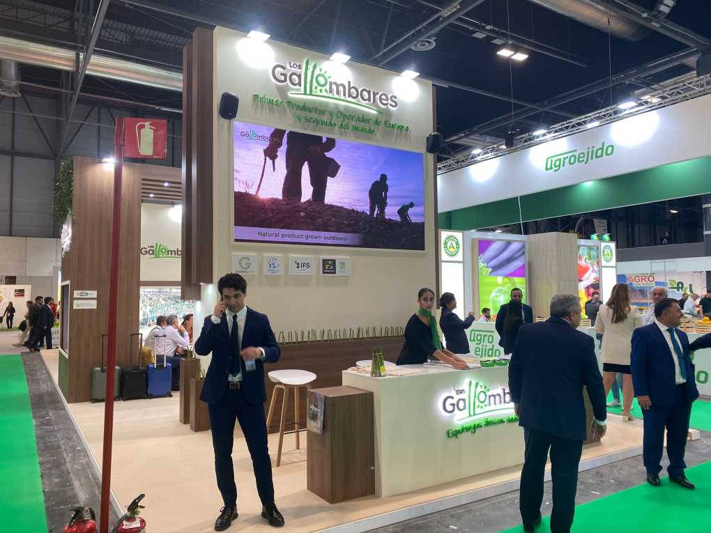 GALLOMBARES (2) (002)