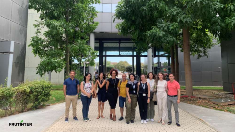 Integrantes del consorcio POSTHARVESTLIFE cítricos