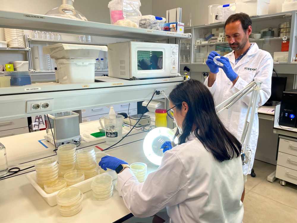 laboratorio-koppert