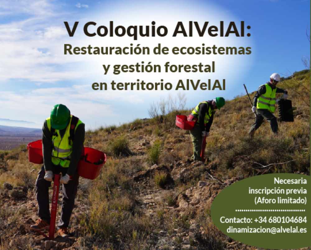 AlVelAl