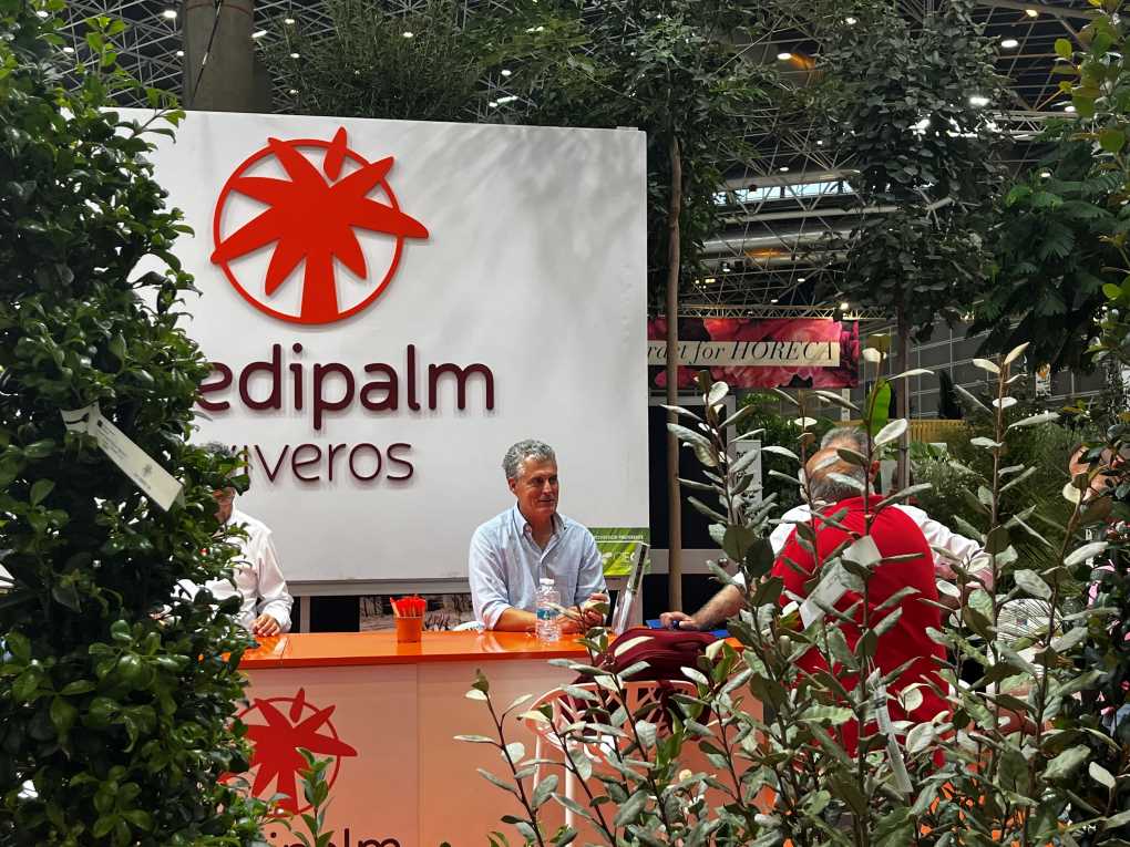 VIVEROS MEDIPALM