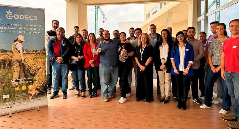 codecs-ual