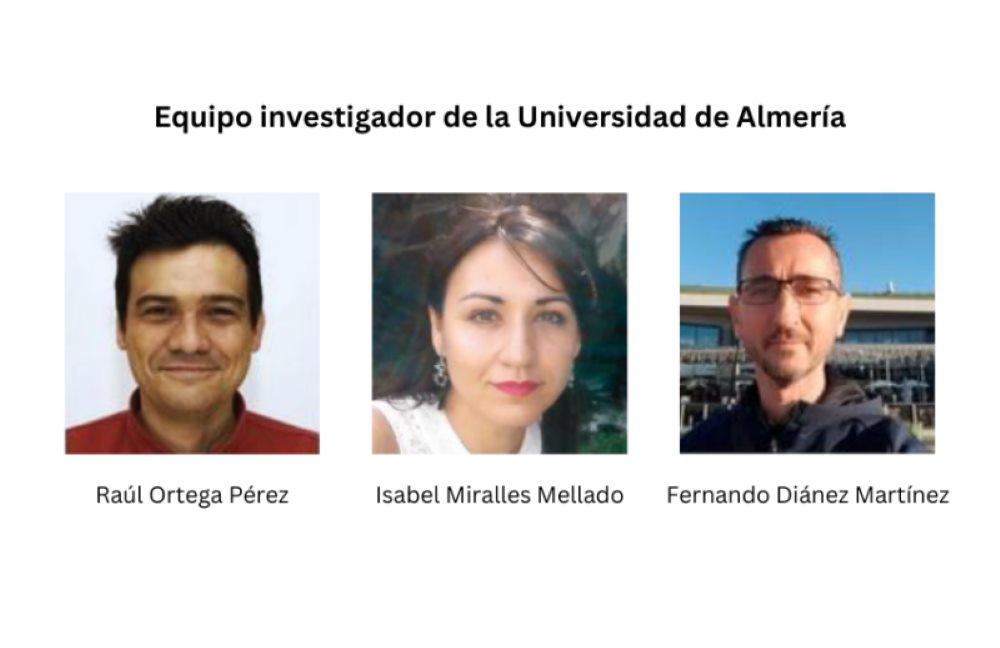 equipo investigador