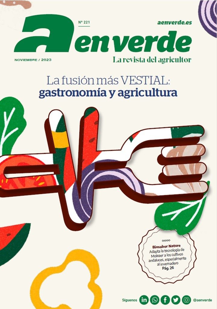 portada 221 Nov 23