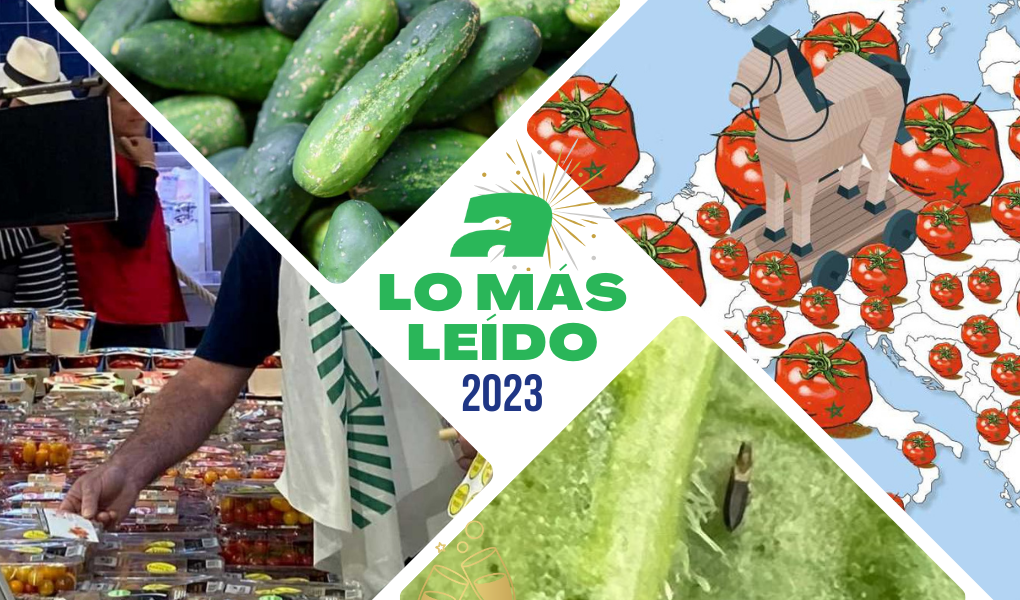 AenVerde 2023