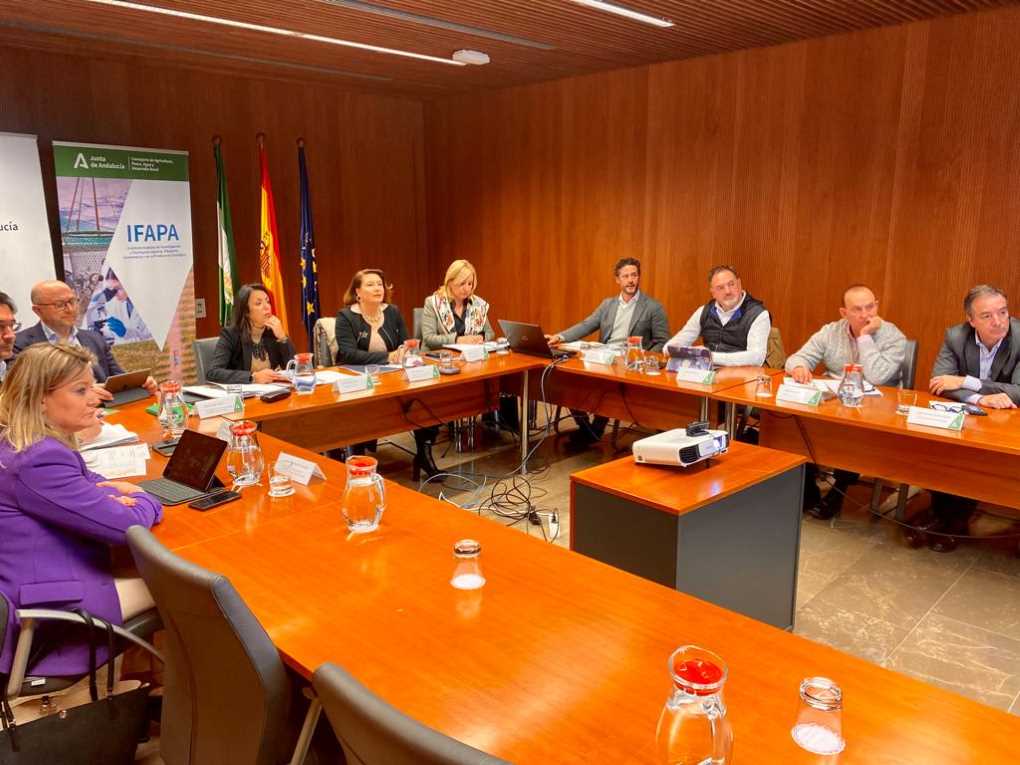 Consejo Ifapa (002)