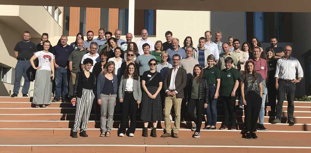 Foto grupo IPM Works