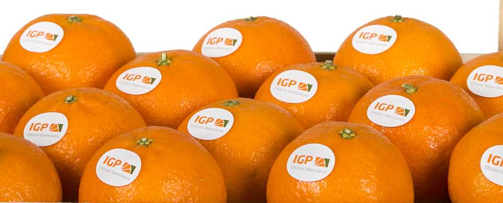 IGP Cítricos Valencianos (2)