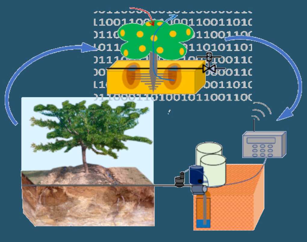 Tecnología IRTA (2)