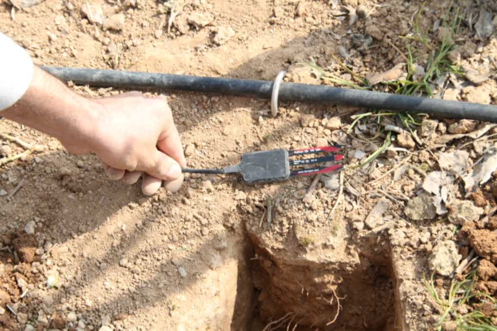 Tecnología IRTA (3)
