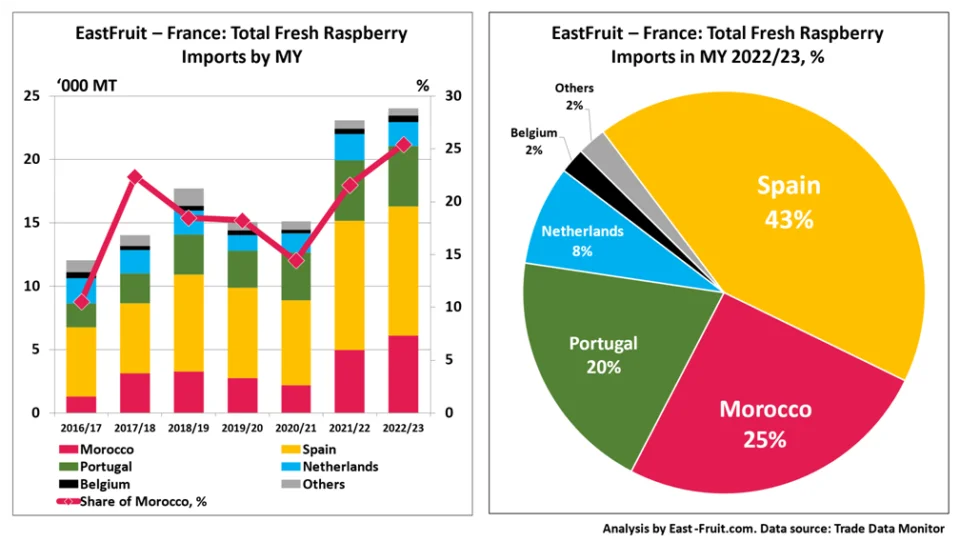 importación frambuesa Francia