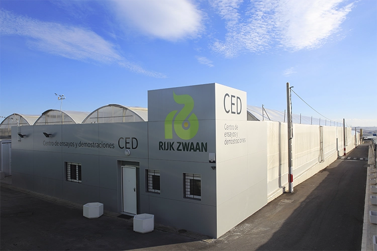 CED El Ejido