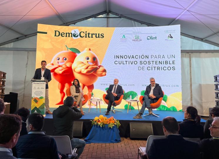 Democitrus