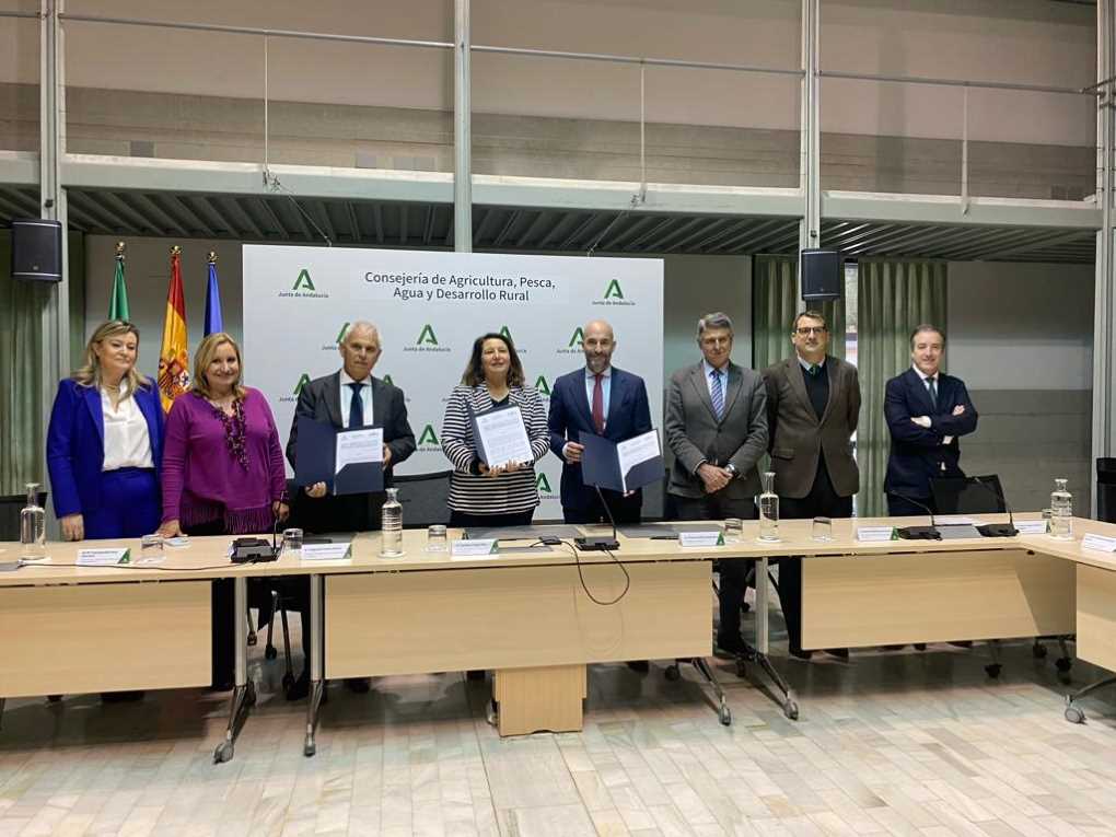 Firma Landaluz y Cooperativas (002)