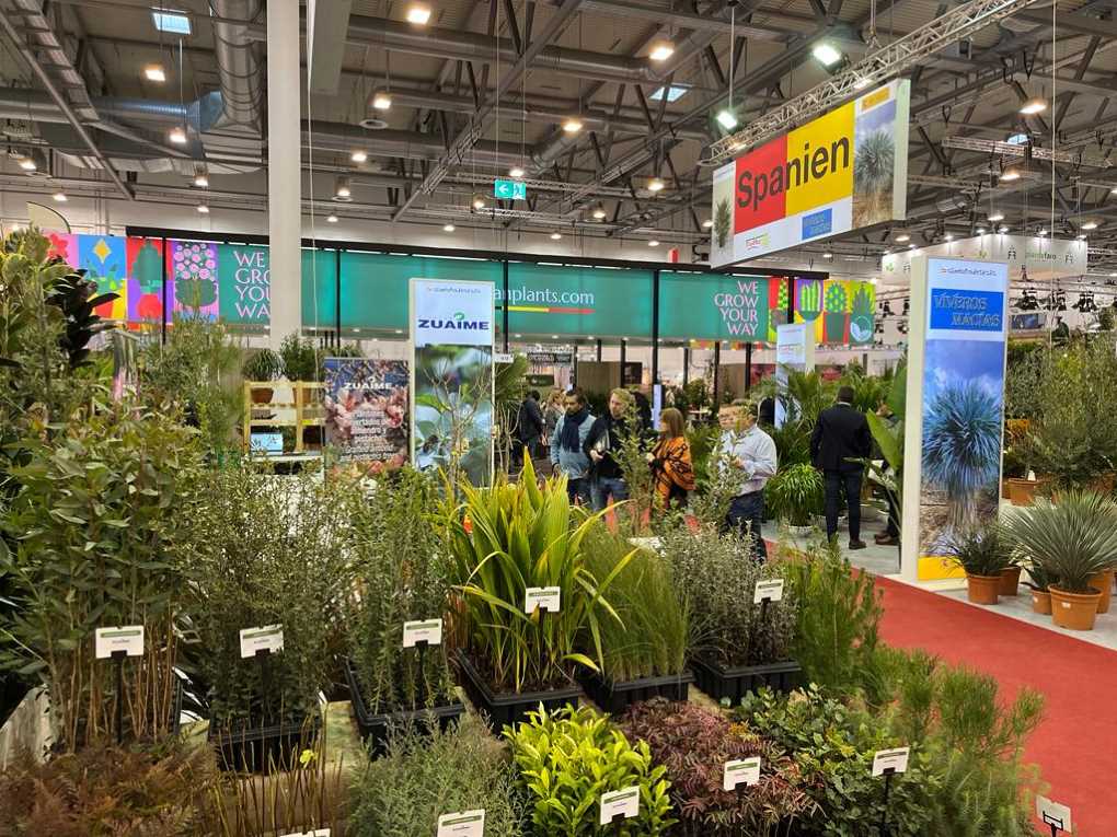 IPM Essen 2023_Stand Viveros Zuaime