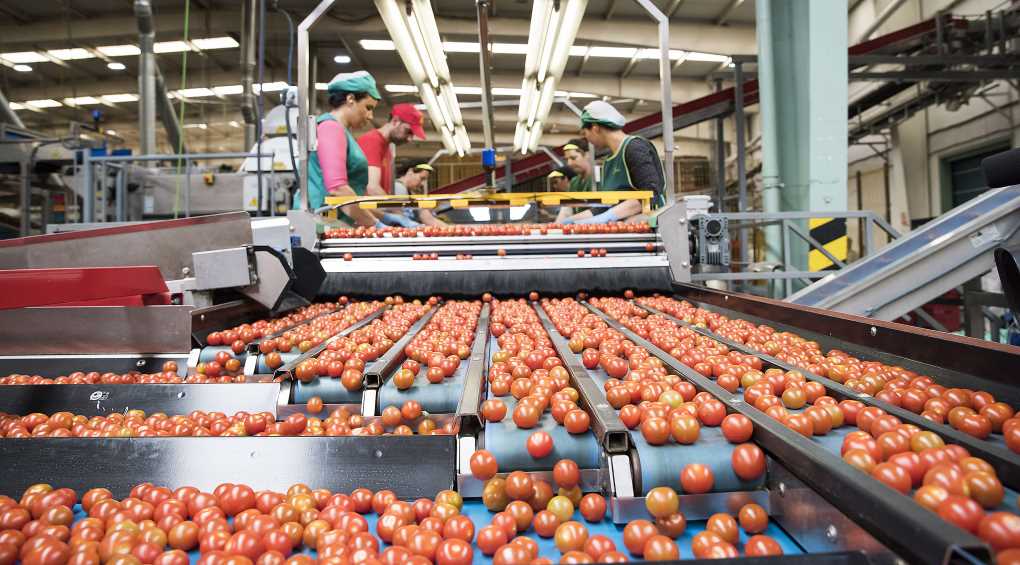Industria agroalimentaria