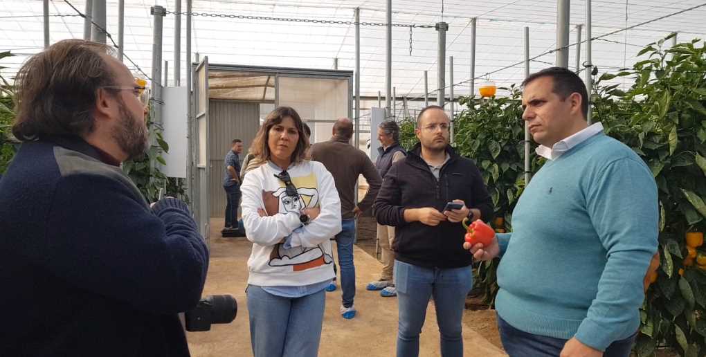Pimiento BASF (1)