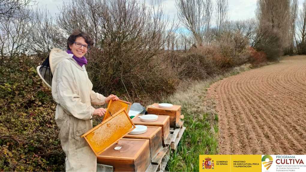 Programa Cultiva