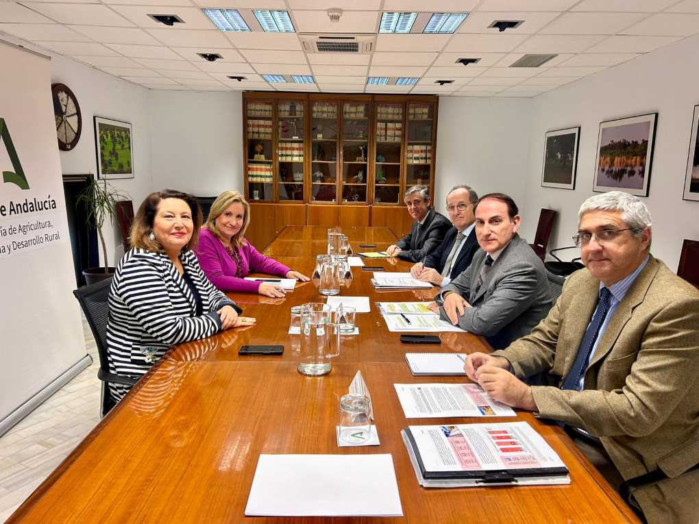 Reunión Consejeria-CEA (002)