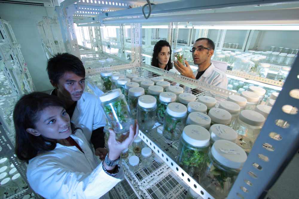biotecnología