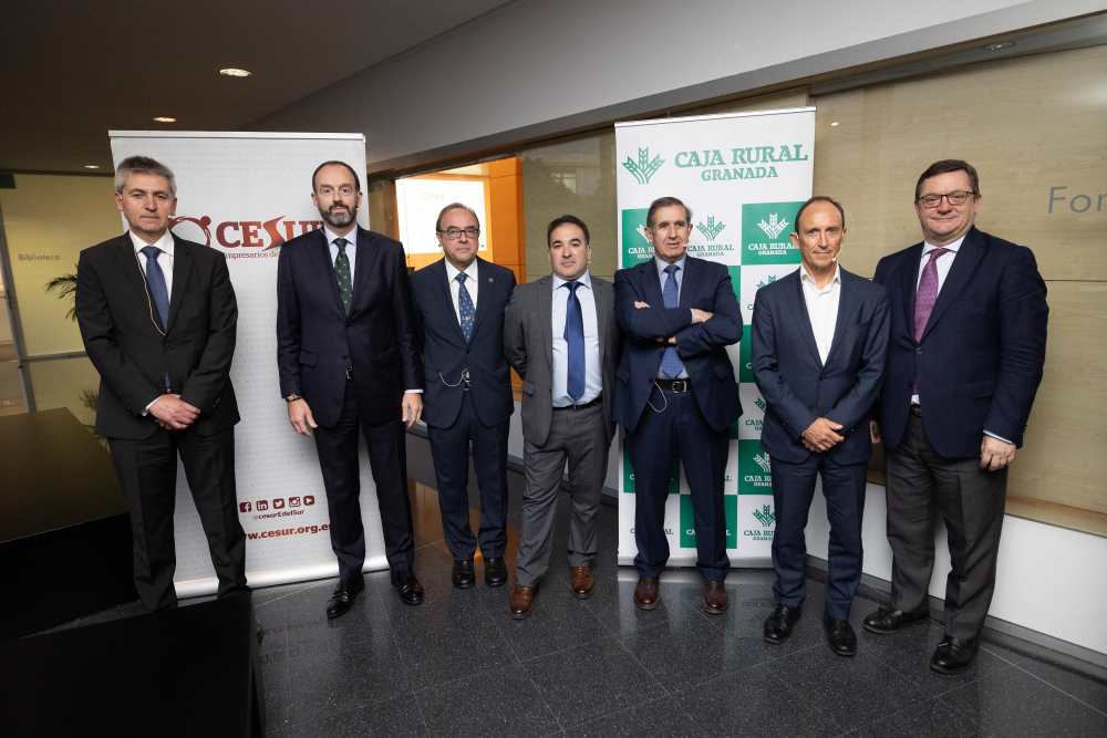 cesur granada