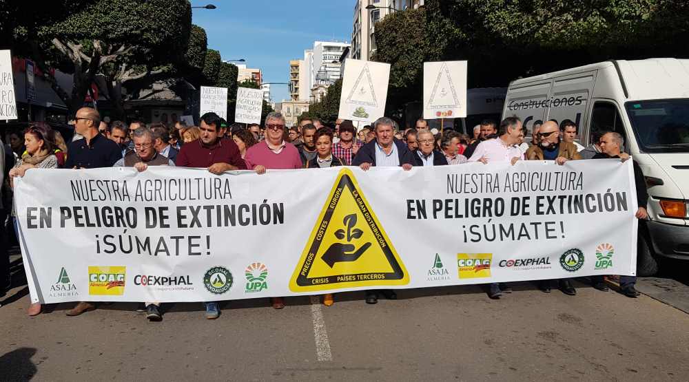 manifestación sector 19 N