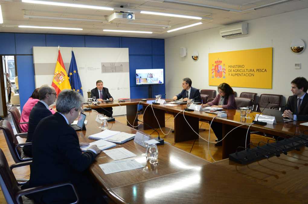 19022024ministroconsejoconsultivo
