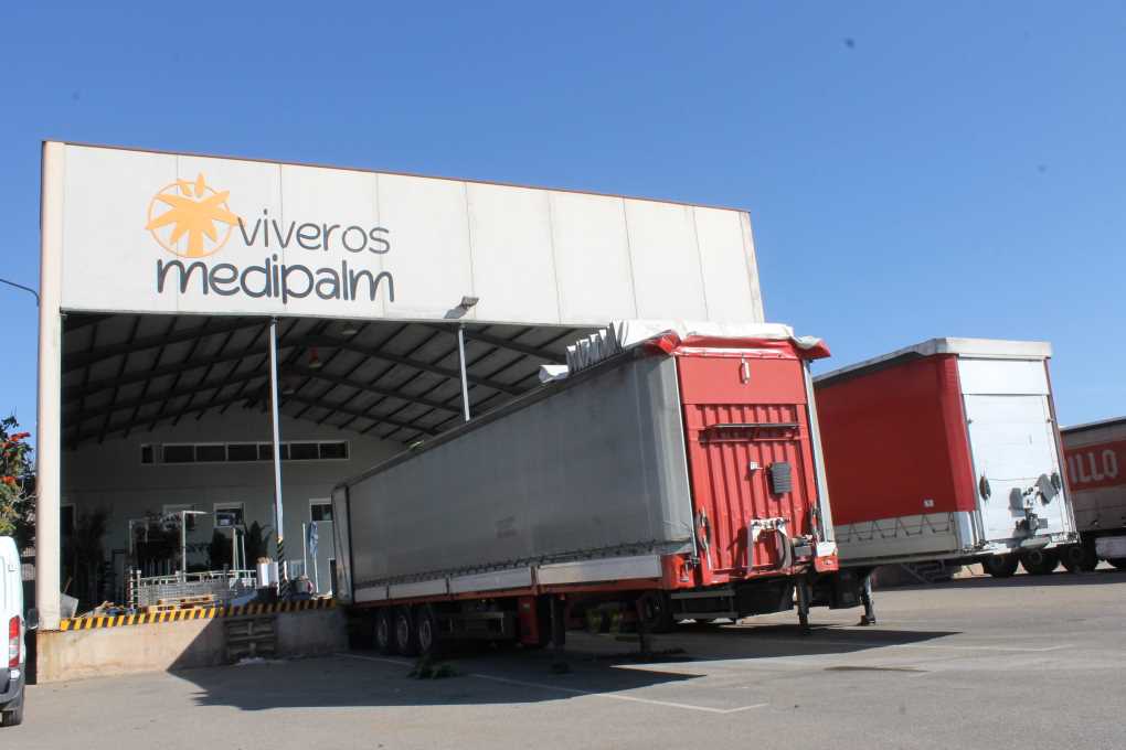 20240229_Viveros Medipalm (3)
