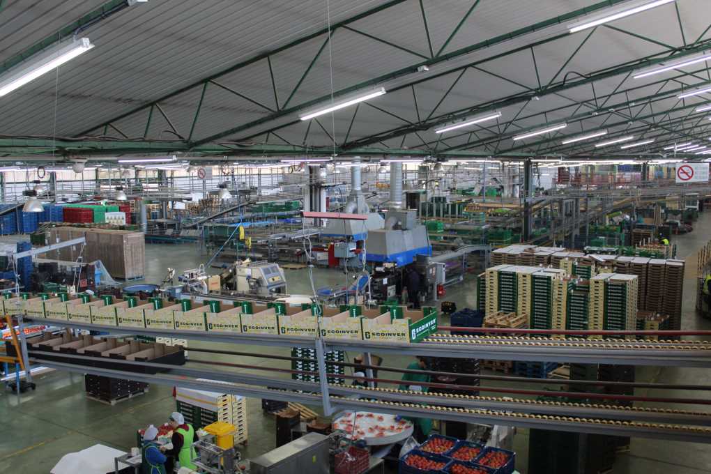 Almacén de empaquetado ECOINVER (002)