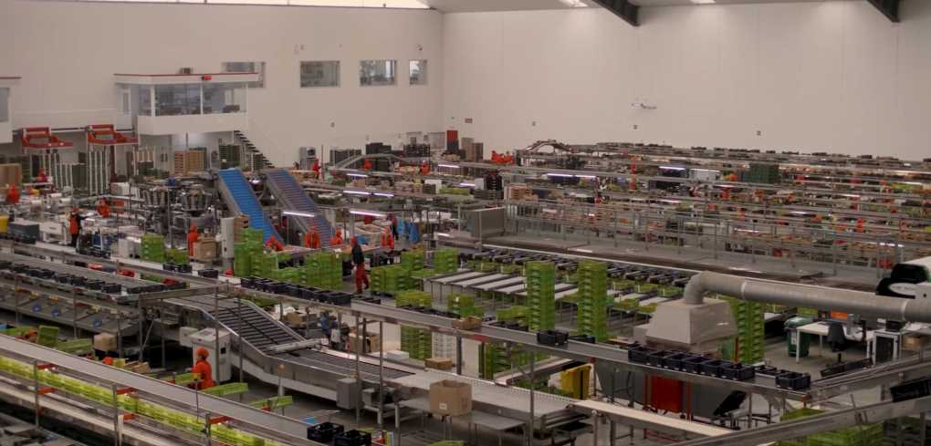 Almacén hortofrutícola