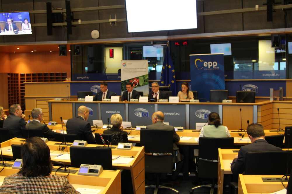 Parlamento Europeo