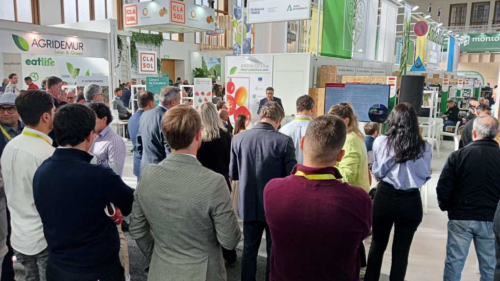 Presentación IFAMA 2024 en Fruit Logistica (2)
