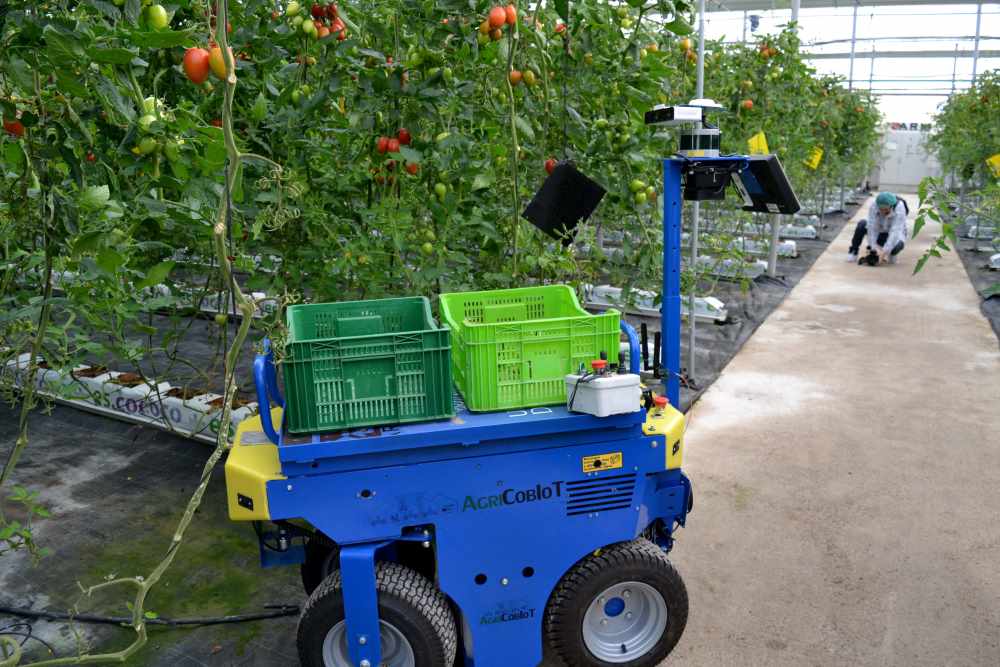 agroconnect ual 
