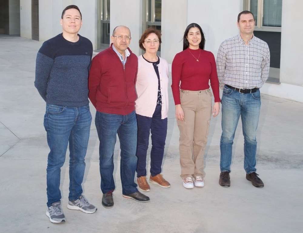 investigadores Universidad de Alicante